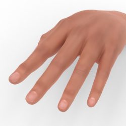 Hands — sample from the Curator library