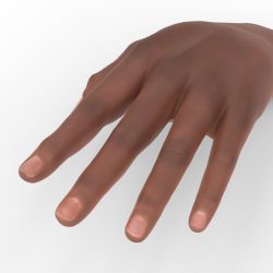 Hands — sample from the Curator library