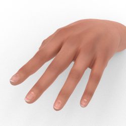 Hands — sample from the Curator library