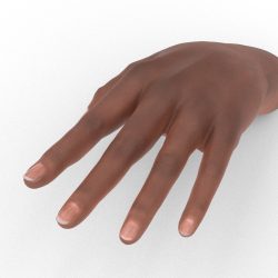 Hands — sample from the Curator library