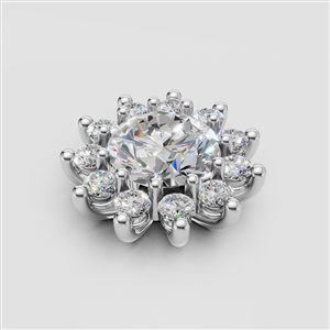 Cluster 08