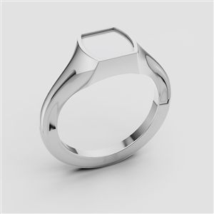 Signed Ring 008 Signed Ring 008