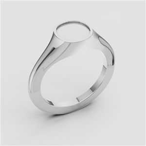 Signed Ring 009 Signed Ring 009