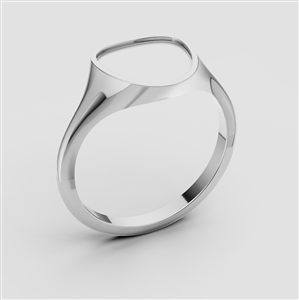 Signed Ring 013 Signed Ring 013